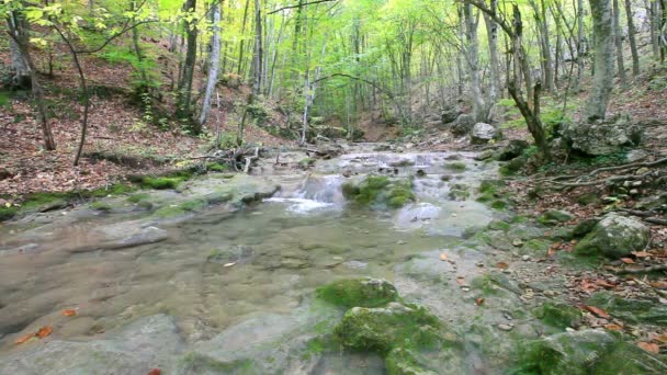 Clean waterfall water — Stock Video