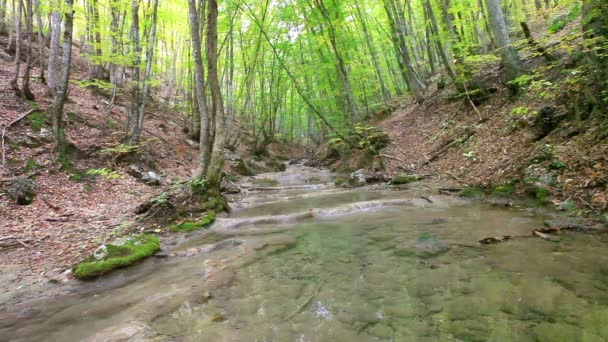 Eau de cascade propre — Video