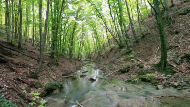 Agua de cascada limpia — Vídeos de Stock