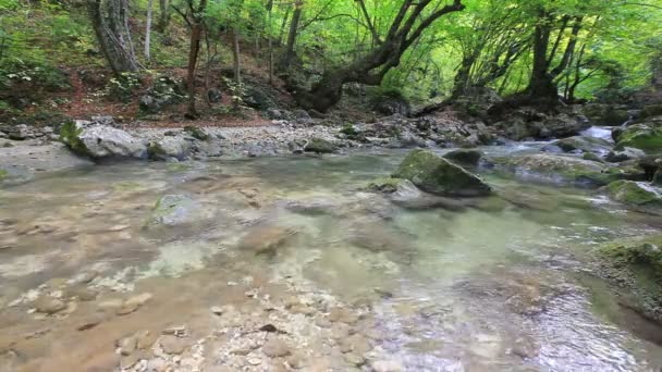 Água limpa da cachoeira — Vídeo de Stock