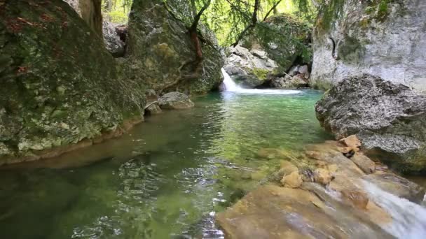 Agua de cascada limpia — Vídeo de stock