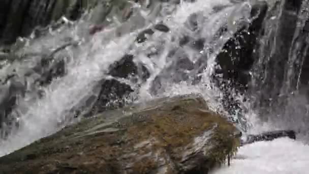 Clean waterfall water — Stock Video