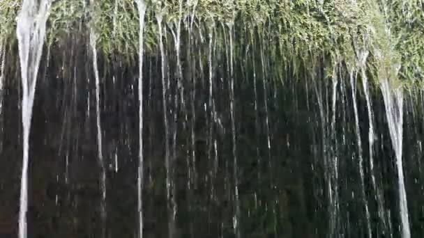 Sauberes Wasserfallwasser — Stockvideo