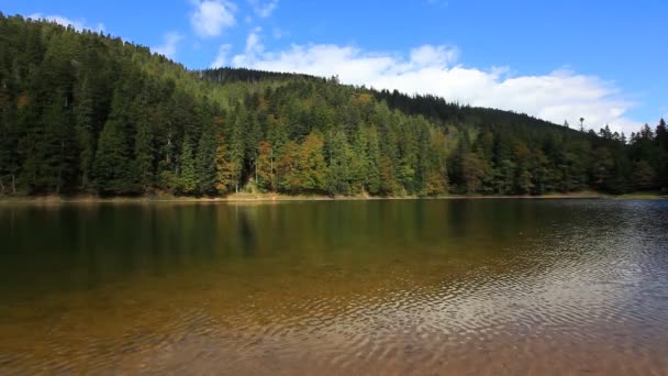 Agua limpia del lago — Vídeos de Stock