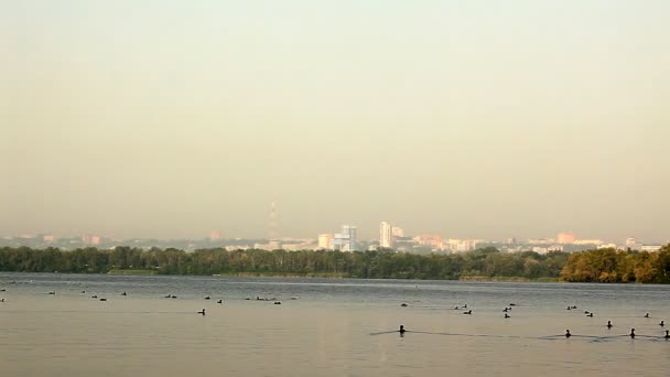 Zomer stad lake — Stockvideo