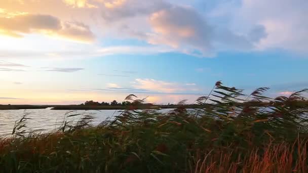 Pôr do sol — Vídeo de Stock