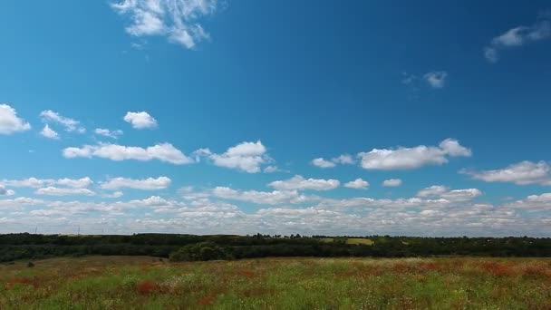 Veld onder bewolkte hemel — Stockvideo