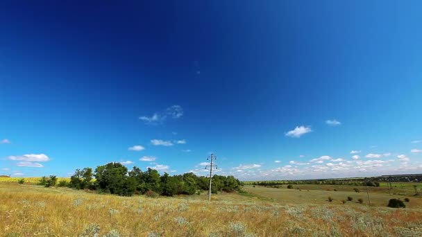 Campo bajo cielo nublado — Vídeo de stock