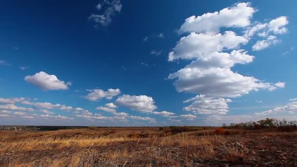 Veld onder bewolkte hemel — Stockvideo