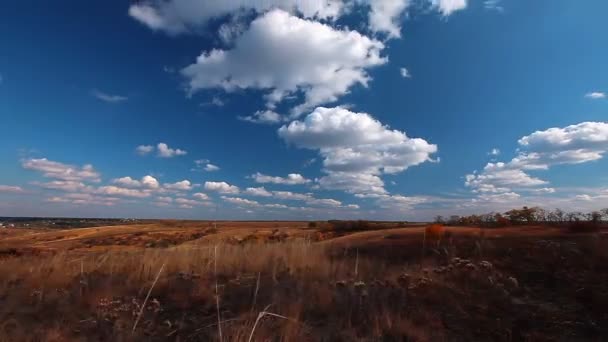 Campo bajo cielo nublado — Vídeo de stock