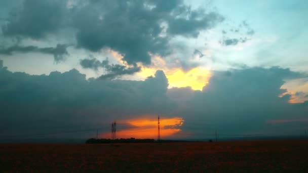 Campo bajo el cielo del atardecer — Vídeos de Stock