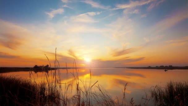 夏の湖の夕日 — ストック動画