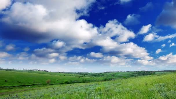 Veld onder bewolkte hemel — Stockvideo