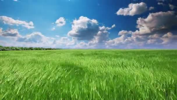 Champ sous ciel nuageux 