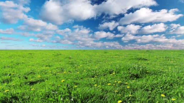 Campo bajo cielo nublado — Vídeos de Stock