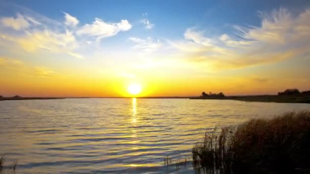 Lago de costa — Vídeo de Stock