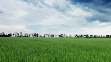 alan bulutlu gökyüzü altında