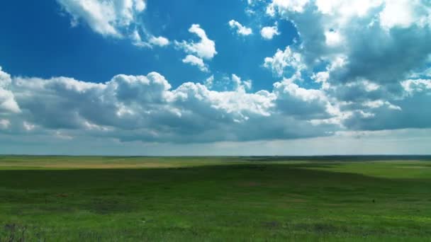 Pasture under cloudy sky — Stock Video