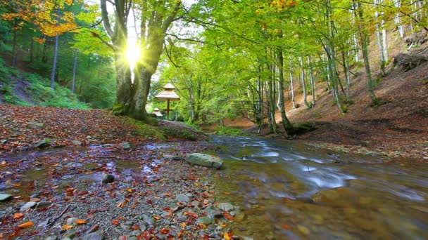 Eau de cascade propre — Video