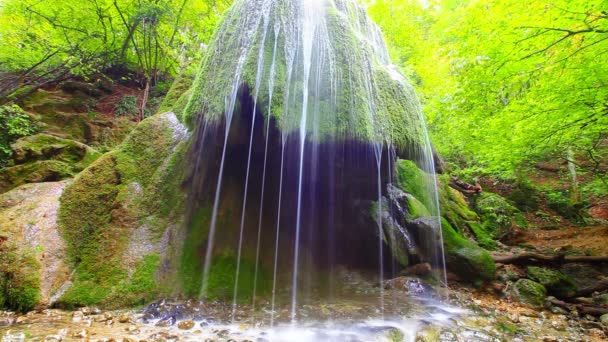 Čisté vodopád vody — Stock video