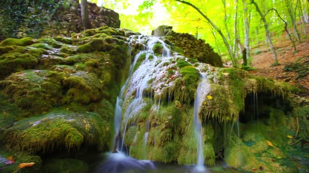 Agua de cascada limpia — Vídeos de Stock