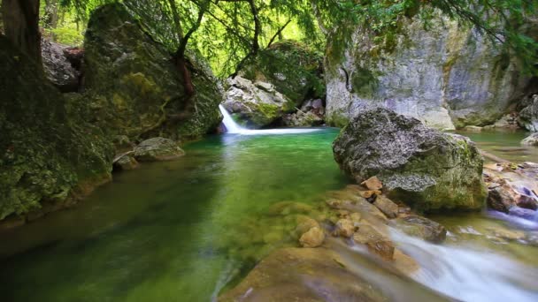 Sauberes Wasserfallwasser — Stockvideo