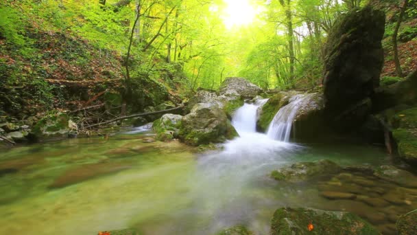 Água limpa da cachoeira — Vídeo de Stock