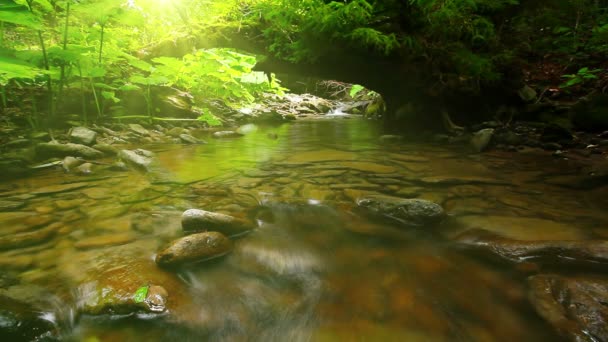 Agua limpia — Vídeos de Stock