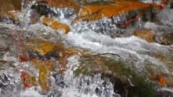 Sauberes Wasser — Stockvideo