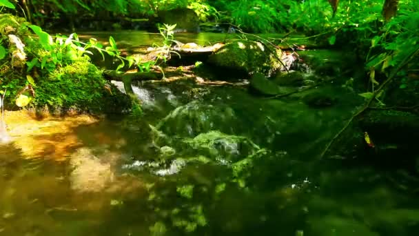 Sauberes Wasser — Stockvideo