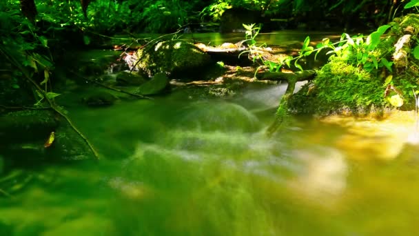 Agua limpia — Vídeos de Stock