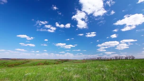 Feld unter bewölktem Himmel — Stockvideo