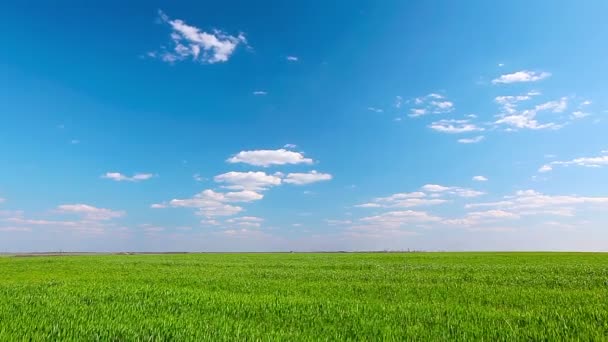 Campo bajo cielo nublado — Vídeos de Stock