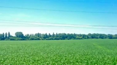 pencere yaz görünümü tren