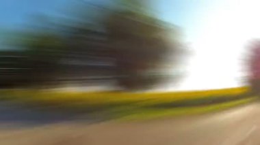 Ayçiçeği alan araba sürmek