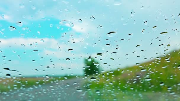 Gotas de chuva na janela — Vídeo de Stock