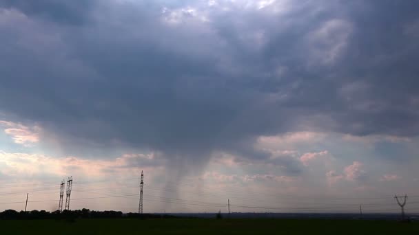 Veld onder bewolkte hemel — Stockvideo