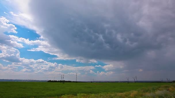 Field under cloudy sky — Stock Video