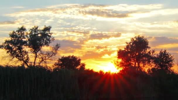 Solnedgång himlen — Stockvideo