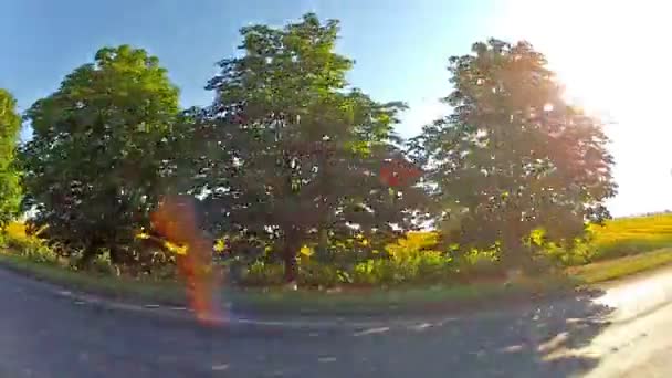 Auto fährt Sonnenblumenfeld an — Stockvideo