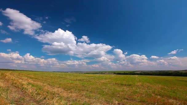 Fältet under mulen himmel — Stockvideo