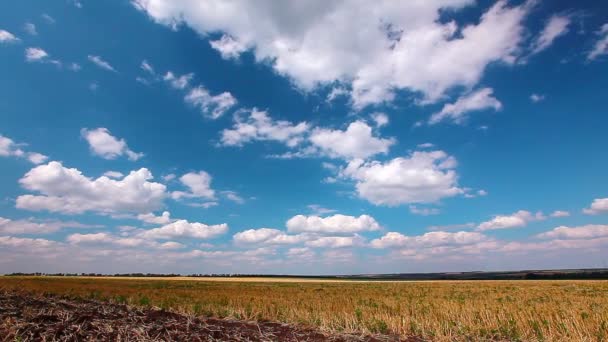 Campo bajo cielo nublado — Vídeo de stock