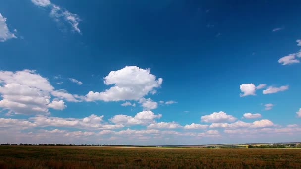 Veld onder bewolkte hemel — Stockvideo