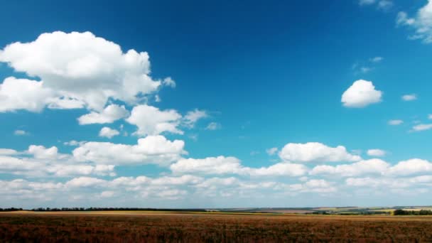 Campo bajo cielo nublado — Vídeos de Stock