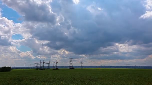 Veld onder bewolkte hemel — Stockvideo