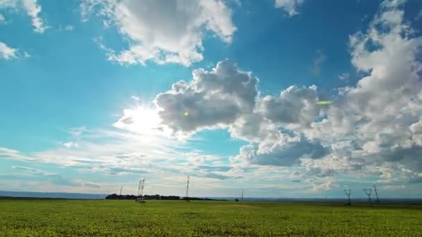 Veld onder bewolkte hemel — Stockvideo