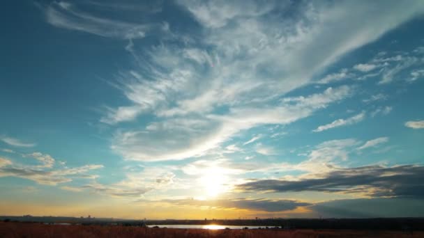 Field under cloudy sky — Stock Video