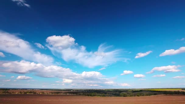 Campo bajo cielo nublado — Vídeos de Stock