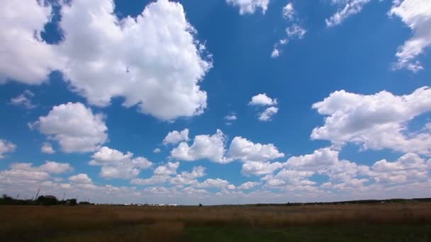 Veld onder bewolkte hemel — Stockvideo