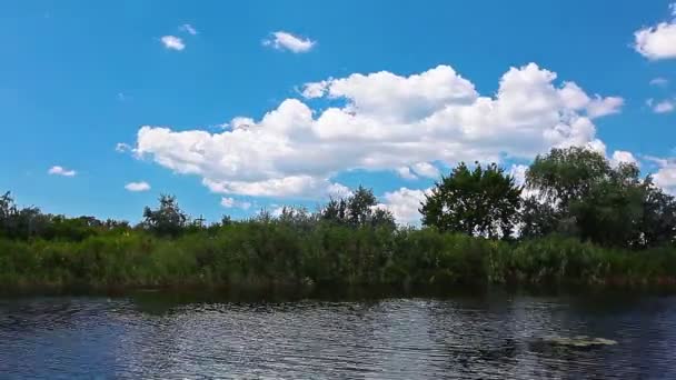 Río de verano — Vídeo de stock